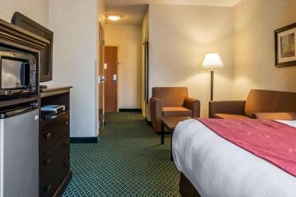 Comfort Suites Canton - image 9