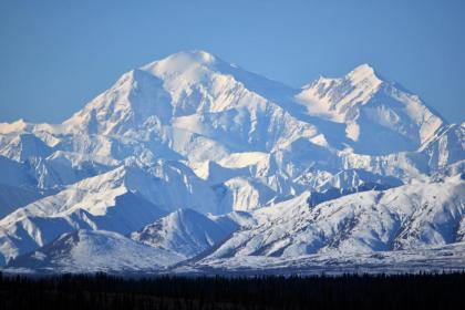 Backwoods Lodge - image 2