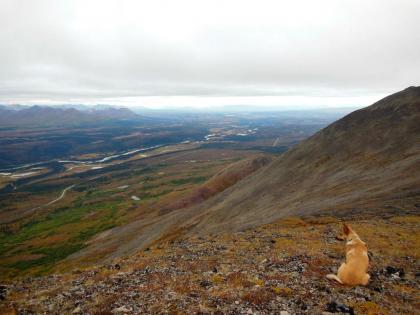 Backwoods Lodge - image 8