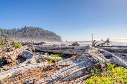 Cape Meares Overlook - image 6