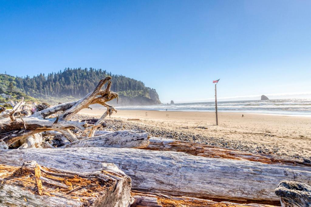 Cape Meares Beach Getaway - image 5