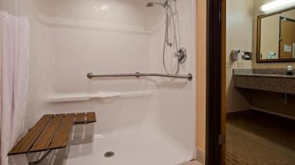 Best Western - Saluki Inn - image 7