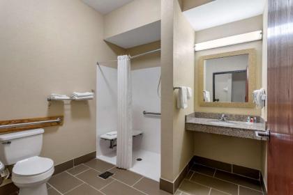 Comfort Inn & Suites Carbondale University Area - image 11