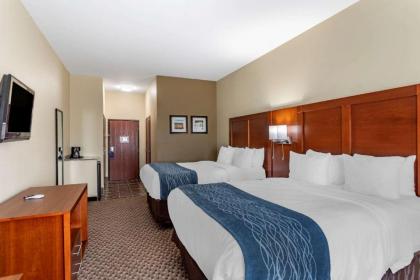 Comfort Inn & Suites Carbondale University Area - image 15