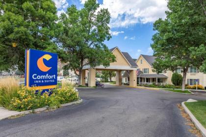 Comfort Inn & Suites Carbondale - image 1