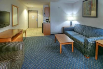 Holiday Inn Express Hotel & Suites Carlsbad an IHG Hotel - image 13