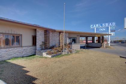 Carlsbad Inn  New Mexico - image 14