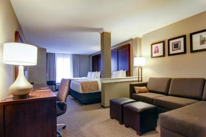 Comfort Suites Carlsbad - image 9