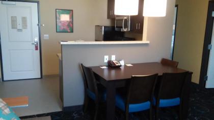 TownePlace Suites by Marriott Carlsbad - image 15