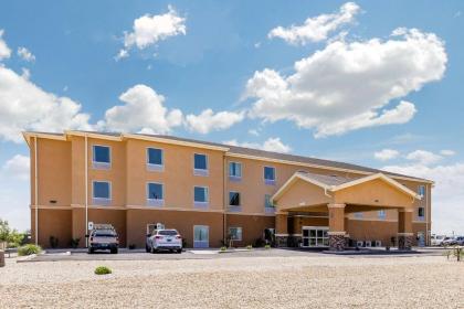 Quality Inn & Suites - image 3