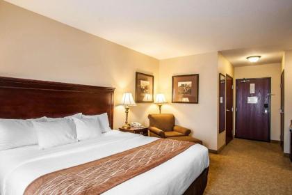 Comfort Inn Mcminnville - image 11