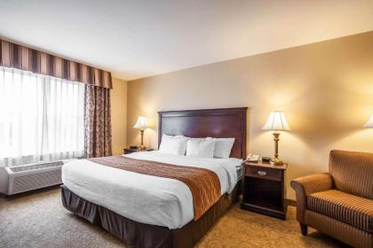 Comfort Inn Mcminnville - image 6