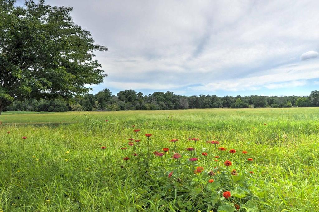 Charming Carmine Studio with Pond On 60-Acre Farm! - image 7