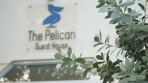 The Pelican - image 2