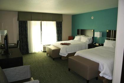 Hampton Inn Carrizo Springs - image 11