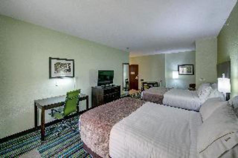 Holiday Inn Express Carrizo Springs - image 2