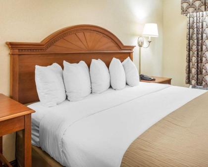 Quality Inn Carrollton - image 3