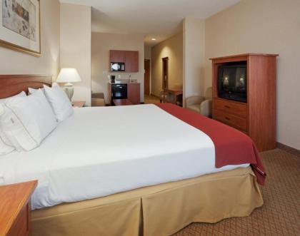 Holiday Inn Express Hotel & Suites Carson City an IHG Hotel - image 6