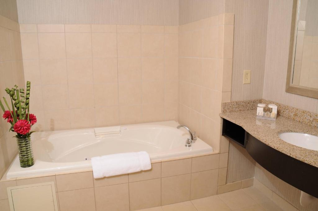 Hilton Garden Inn Cartersville - image 2