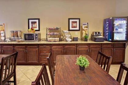 Microtel Inn & Suites - Cartersville - image 15