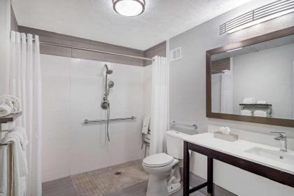 Quality Inn & Suites - image 9