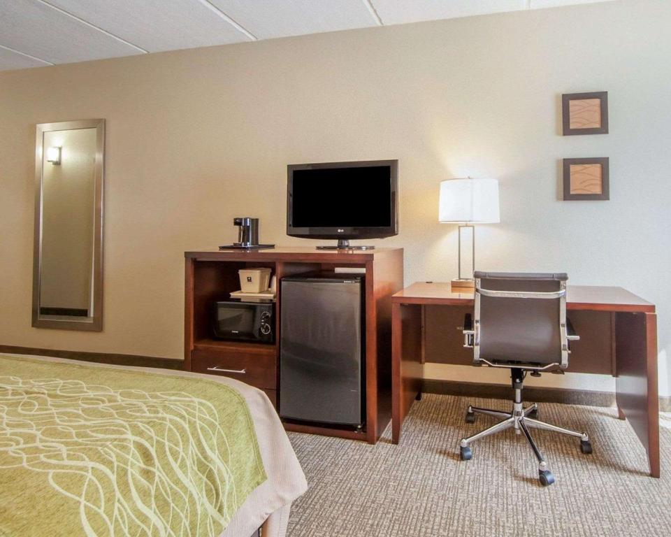 Comfort Inn at Royal Blue - image 4