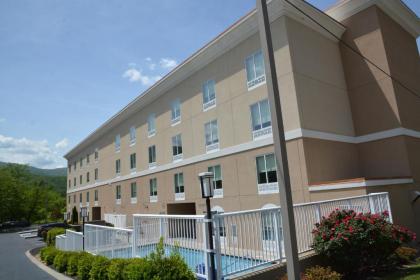 Holiday Inn Express & Suites Caryville an IHG Hotel - image 13