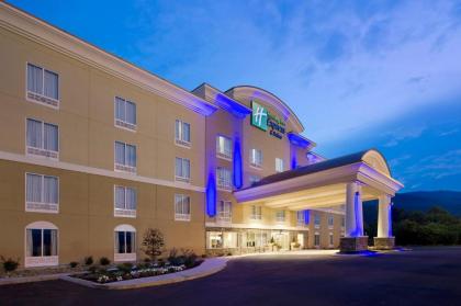 Holiday Inn Express & Suites Caryville an IHG Hotel - image 2