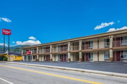 Red Roof Inn Caryville - image 9