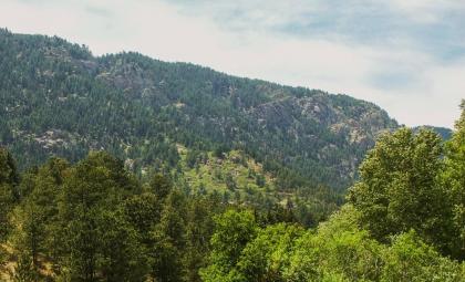 Cascade Mountain Stream - image 6