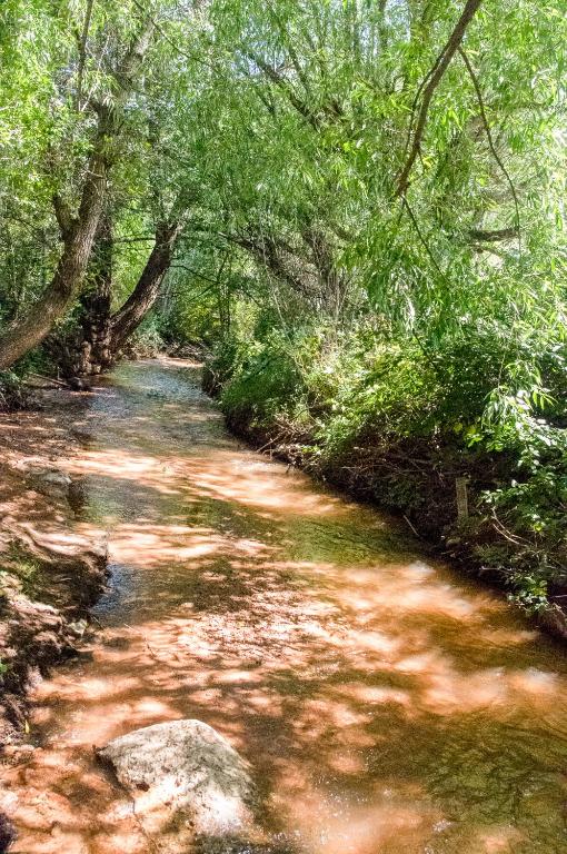 Cascade Mountain Stream - image 7