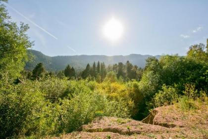 Cascade Mountain Stream - image 9