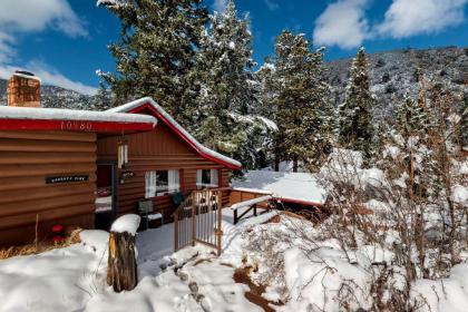 Naughty Pine Cabin Cascade Colorado