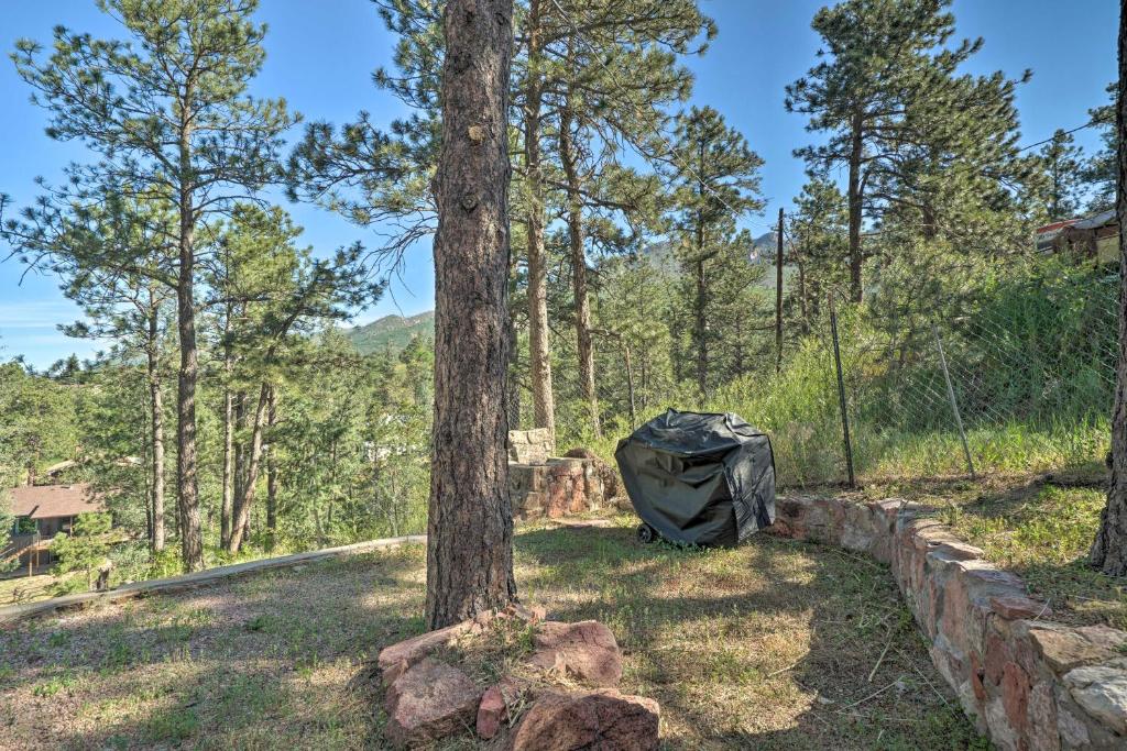 Cabin with Porch 5 Miles to Manitou Springs! - image 3