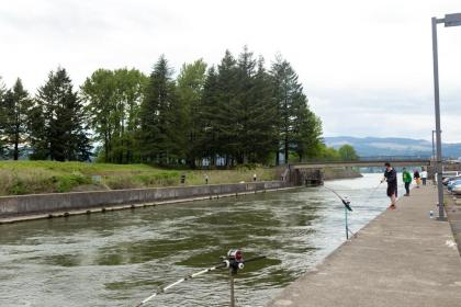 Columbia Gorge Inn - image 12