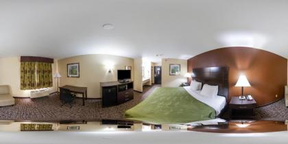 Quality Inn & Suites Caseyville - St. Louis - image 12