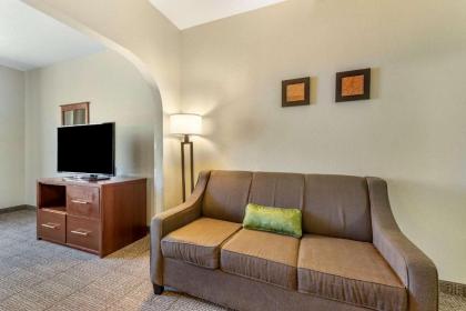 Comfort Suites Castle Rock - image 14