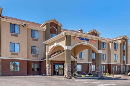 Comfort Suites Castle Rock - image 8