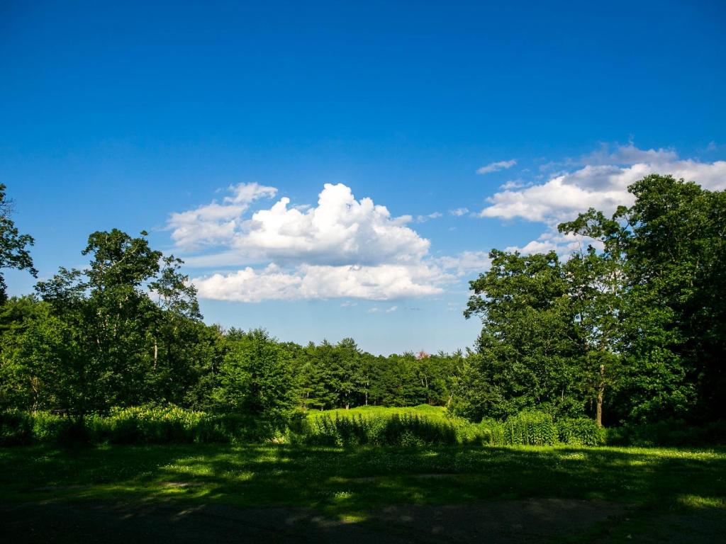 Tentrr - Abandoned Zoo Overlook - image 5