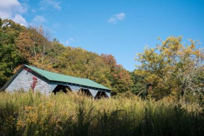 Tentrr - Abandoned Zoo Overlook - image 9