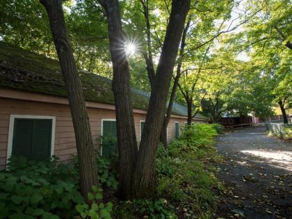 Tentrr - Abandoned Zoo Wooded Site - image 11