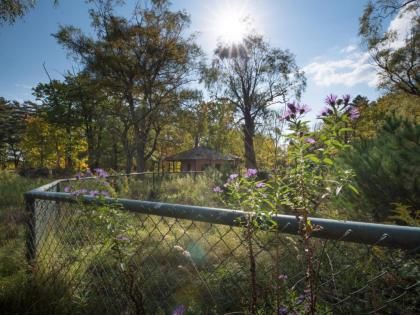 Tentrr - Abandoned Zoo Wooded Site - image 14