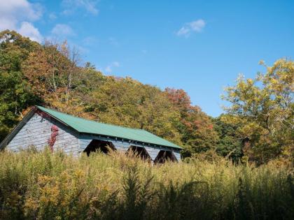 Tentrr - Abandoned Zoo Wooded Site - image 15