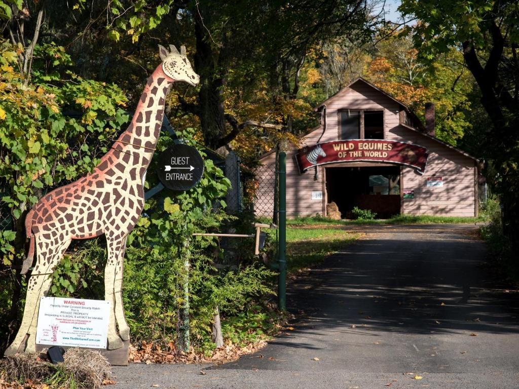 Tentrr - Abandoned Zoo Wooded Site - image 7