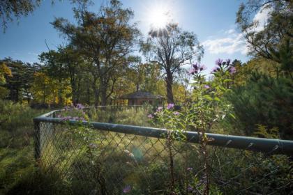 Tentrr - Abandoned Zoo Mountain View Maze - image 15