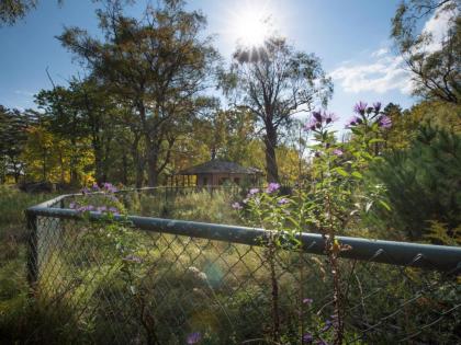 Tentrr - Abandoned Zoo Fido's Vineyard - image 11