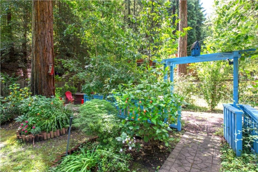 Blue Cherry! Redwoods! BBQ Grill! Fire Table! Ping Pong! Fast WiFi!! Dog Friendly! - image 5