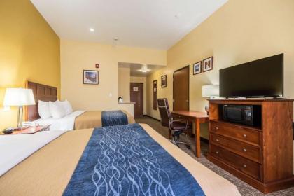 Comfort Inn and Suites Cedar City - image 10