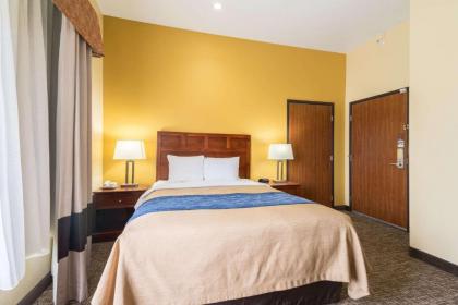 Comfort Inn and Suites Cedar City - image 11