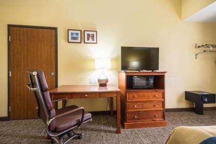 Comfort Inn and Suites Cedar City - image 14